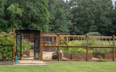 From Garden Beds to the Chicken Coop: A Custom Plumbing Project in Fosters, Alabama